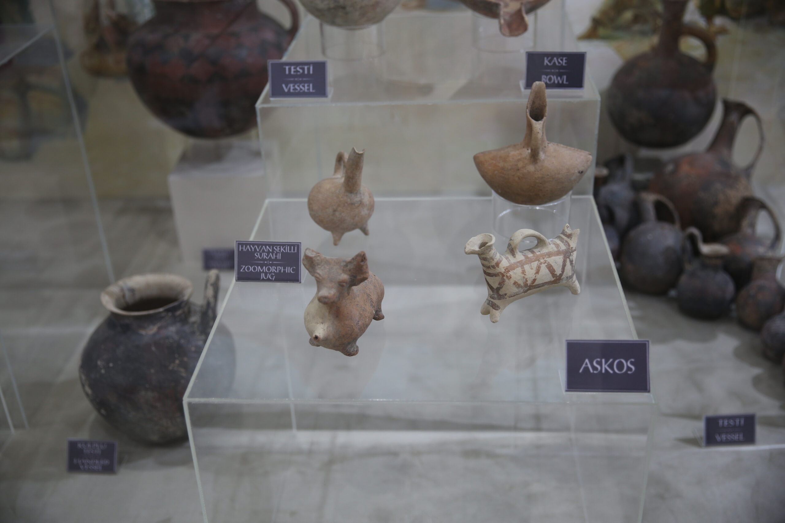 Cyprus Museums